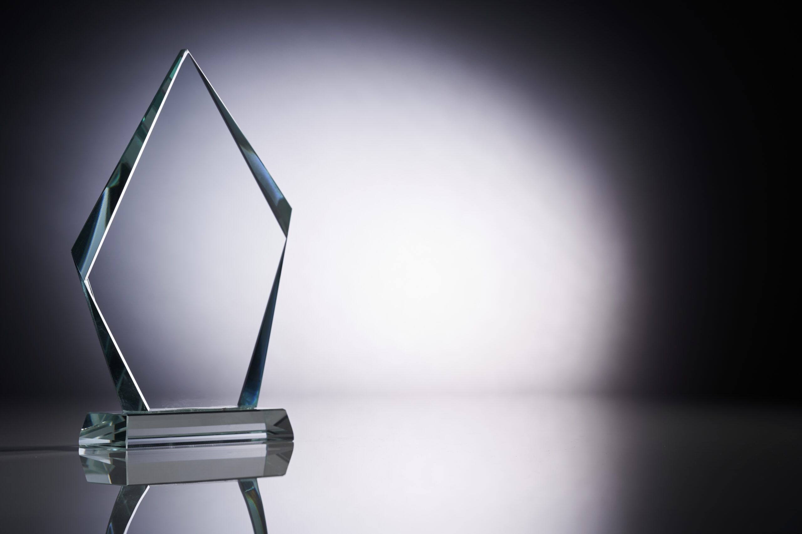 Student Embedded Award